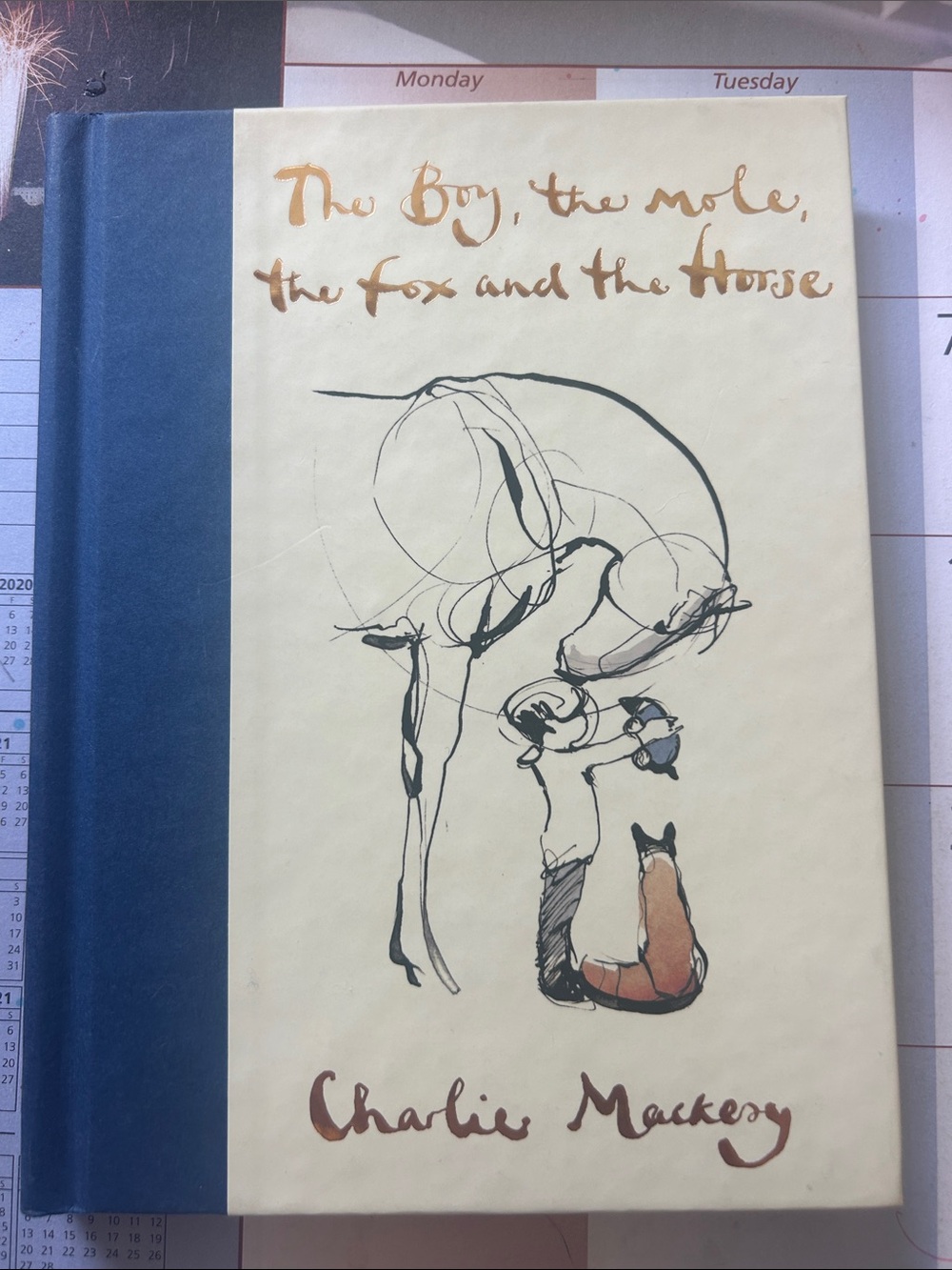 The Boy, The Mole, The Fox and The Horse - Navy & Cream Hardcover - Like new